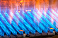 Halesgate gas fired boilers